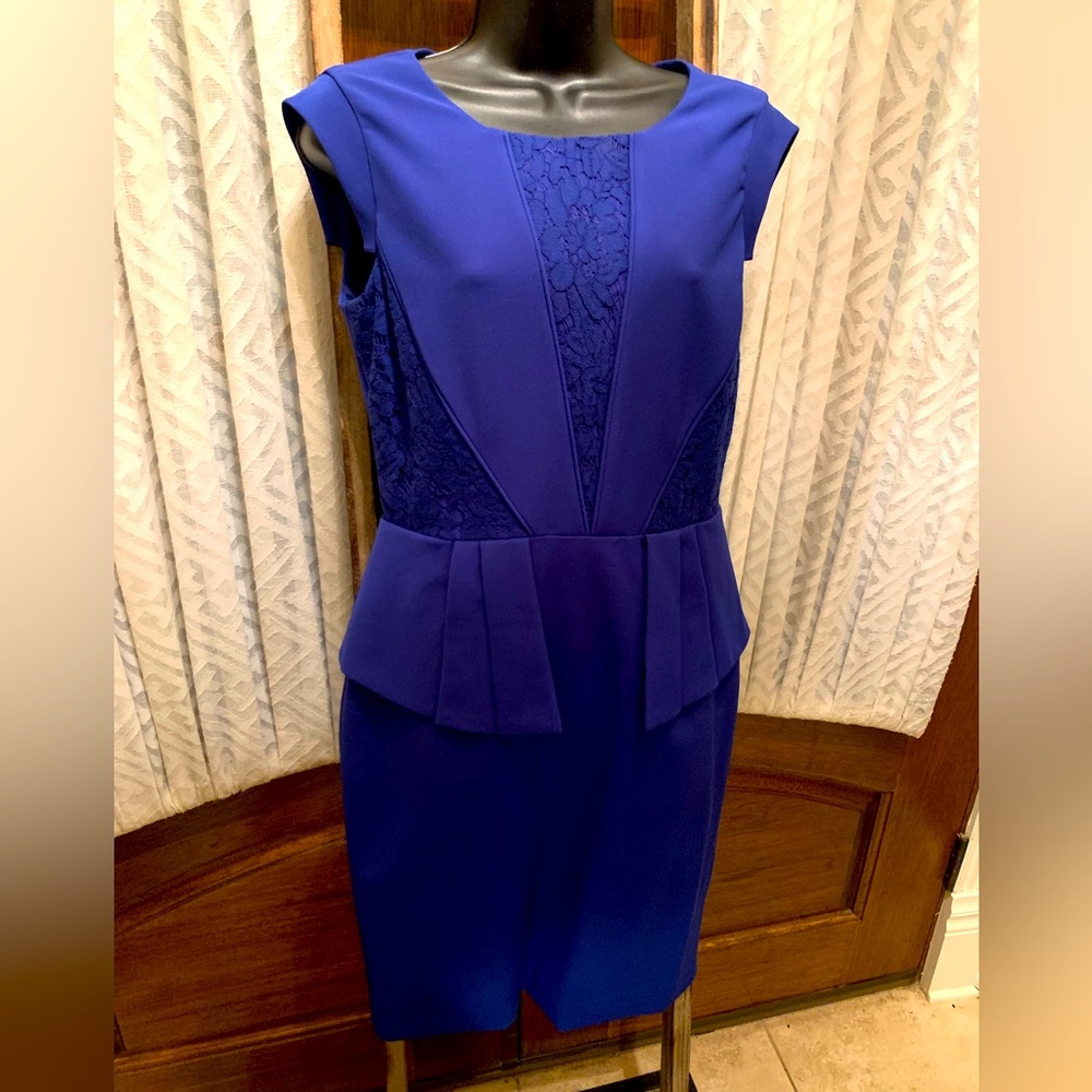 Blue Antonio Melani Dress